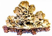 Front view of hand carved stone grapevine statue showing intricate leaves and grape cluster details mounted on carved stone stand.