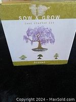 Front and top view of boxed bonsai seed starter kit displaying artistic bonsai tree illustrations and branding.