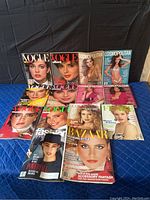 Full view of the 14 magazines arranged for lot overview