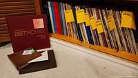 Photo showing Ludwig Van Beethoven Bicentennial Edition boxed set, multiple vinyl record album covers organized and labeled by genre: polka, classical, violin, religious, various