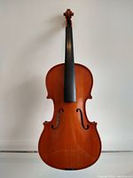 Front view of the Stentor student violin body without strings or other key parts, showing the reddish-brown finish and black fingerboard.