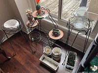 Four metal plant stands in black finish with various plant pots and live cactuses arranged by a window. Different heights and designs visible, some pots ceramic with floral patterns.