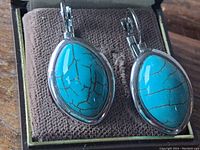 Close-up of turquoise stone earrings in box showing shape, color and metal setting