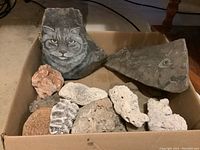 Box containing assorted rocks including the large rock with painted cat face and another with fish bone etching along with other natural rocks.