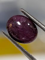 Close-up photo of an oval cabochon star ruby held by tweezers showing natural inclusions and the deep reddish-purple color.