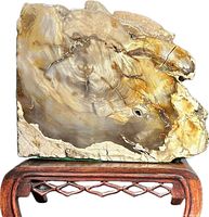 Front view of the polished natural fossil jade slab on a carved wooden stand (not included)