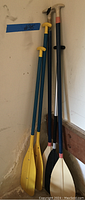 Five rafting paddles of various sizes and colors, including yellow, black, and off-white blades with blue or silver shafts against a wall