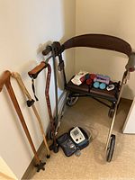 Overall view showing rollator walker, three canes, hand weights, Theraband band and blood pressure monitor.