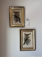 Two framed bird prints hanging on white wall