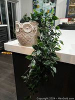 Ceramic owl plant pot with trailing faux plant displayed on a white counter.