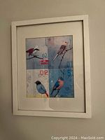 White framed wall art containing four vintage bird postcards with matting. Each postcard shows a different bird illustration with vintage style background and text elements.