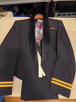 Photo showing front of RAF mess uniform jacket with satin lapels, pilot wing badge and yellow air vice marshal sleeve stripes.