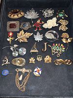 Full overview of 29 vintage brooches arranged on black backing showing floral, leaf, and novelty figures.