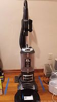 Shark XL Capacity upright vacuum standing against wall showing front and hose attachment.