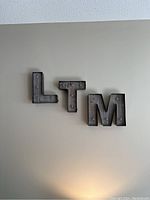 Photo shows three wooden light box letters L, T, and M mounted on a wall, lit from room lighting.