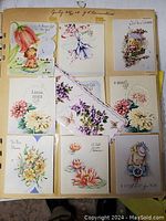 An inside page of one scrapbook showing vintage greeting cards with floral designs and pastel colors mounted on pages.
