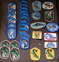 Photo showing fishing themed patches with fish images and club logos mostly blue bordered.
