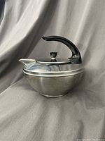 Side view showing the stainless steel body with cat tail shaped black handle and spout with perforated cover.