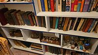 Three shelves filled with vintage hardcover and paperback books of various types and sizes, also some decorative figurines on lower shelves