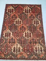 Full view of the hand knotted Persian Bakhtiar wool rug showing the overall tribal floral design and condition.