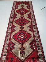 Full view of runner rug showing four central medallions and border