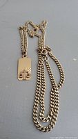 Full view of 10k gold curb chain necklace with attached rectangular pendant featuring scales design