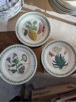 Three botanical decorative plates featuring citrus, convolvulus, and aloe plants with a green leaf border around the rims.