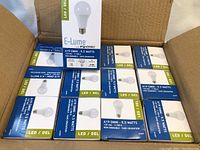 Box of 12 LED light bulbs stacked inside a shipping box showing E-Lume by Standard branding and product info.