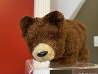Front close-up of the brown bear's face showing fur texture and beige snout with black nose.