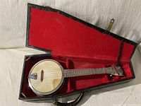 Overview of Dixie banjo in open case