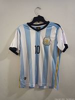 Front view of blue and white striped Argentina soccer jersey with number 10 and crest on chest.