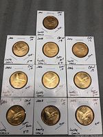 Photo showing all 10 Lucky Loonie coins from 2006, each in individual white cardboard holders with handwritten notes and clear plastic windows.
