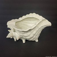 Side view of white ceramic planter shaped like a large textured conch shell sitting on black background.