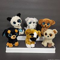 Front view of all six Beanie Boos showing different breeds and colors with large eyes.