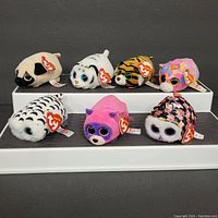 Front view showing all seven Ty Teeny Tys plush toys arranged on a white stepped platform displaying the various animals and colors with hang tags attached.