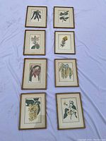 All eight prints laid out on tabletop