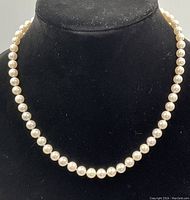 Necklace displayed on black bust showing overall appearance and drape.