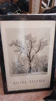 Front view of the framed Ansel Adams print showing the black and white tree image, frame, and protective plastic covering with cracks and scratches.