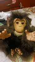 Front view of Forreal Friends Chimp plush toy showing face, fur, hands, and feet on a bedspread.