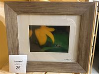 Overall view of the framed wildlife photograph with visible wooden frame, white matting and signature.