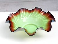 Side angle view showing ruffled edges and color gradient from pale green to amber-brown swirl pattern.