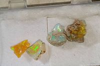 Four raw opal specimens in a small plastic case with white cushion. Two pieces show bright orange and green flashes; two others exhibit iridescent blue and fire colors with natural matrix.