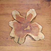 Top view of live edge red cedar wood board showing natural wood grain and moose-like pattern.