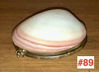 Front side view of vintage sea shell jewellery box showing natural shell pattern and brass clasp.