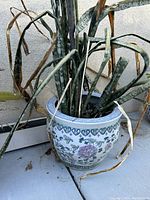 Photo of a snake plant with some dried and brown leaves in a decorative glazed ceramic pot with floral patterns.