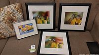 Three framed artworks placed on couch including two identical insect photographs and one watercolour painting.