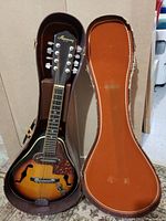 Mandolin inside open case showing mandolin body and case fit