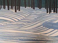 Close up image showing the snow patterns and vertical tree trunks in the art print.