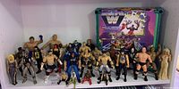 Wide shot of 28 WWE wrestling figures arranged in front of boxed wrestling ring.