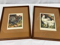 Two framed poultry prints side by side, showing overall condition and size.